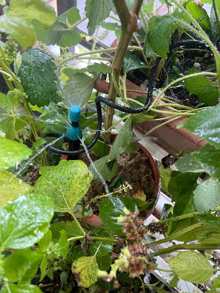 1件目のレビュー画像 | 0