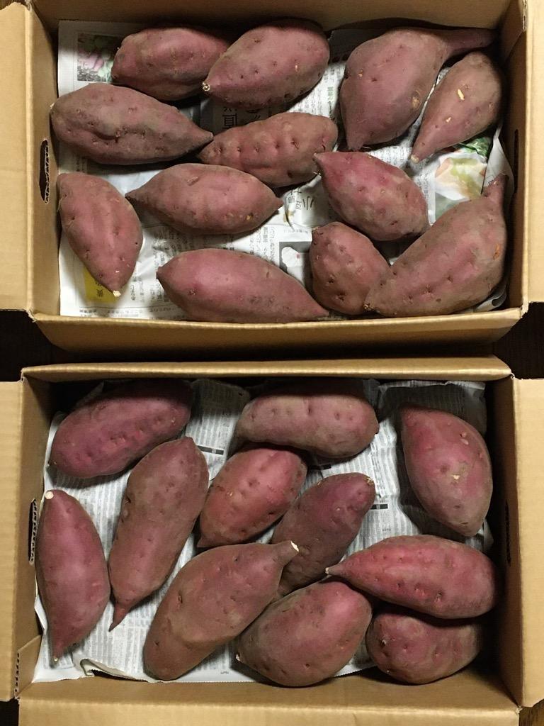 金沢五郎島金時さつまいも コロ中サイズ5kg 1箱 : 富山の清水ドット