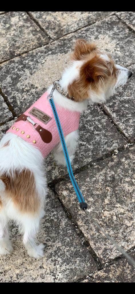 1件目のレビュー画像 | 2