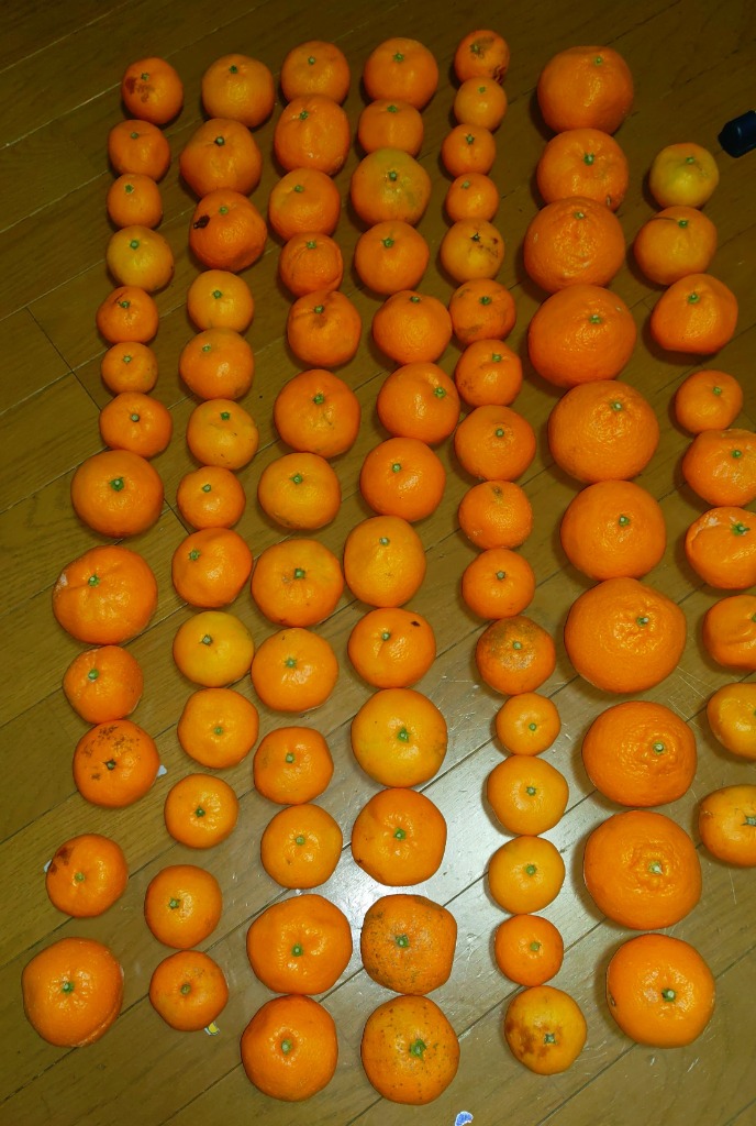 5件目のレビュー画像 | 0