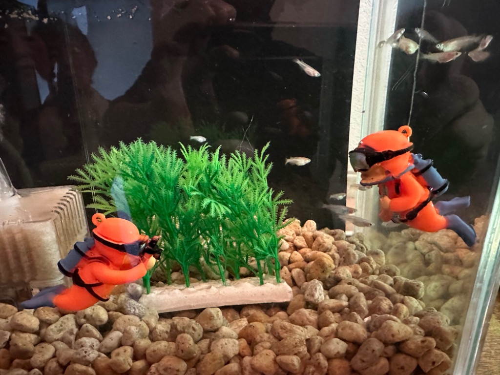 7件目のレビュー画像 | 0