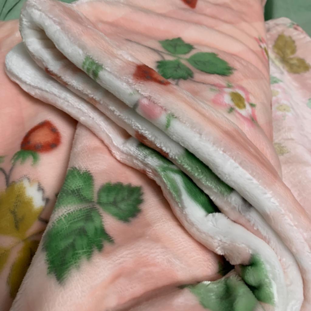 【激レア/実質新品】 ダブル毛布 ワイルドストロベリー　ブルー 激レア/実質新品】 ダブル毛布 ワイルドストロベリー ブルー