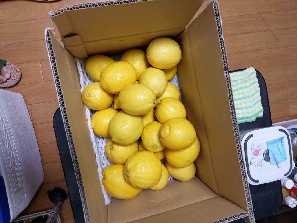 レビュー画像