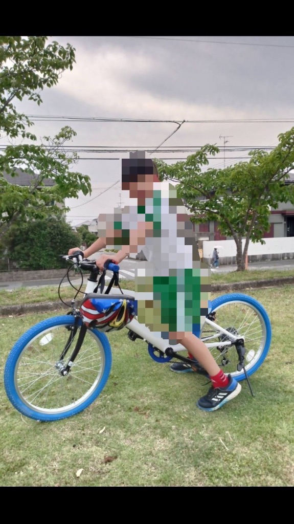 GRAPHIS（自転車） 子供用自転車 クロスバイク 購入特典 ライト