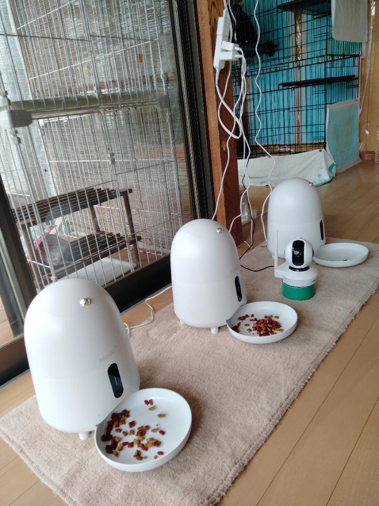 給餌器 ペット 自動給餌器 コンパクト 猫 小型犬 ペットフード 2L 自動