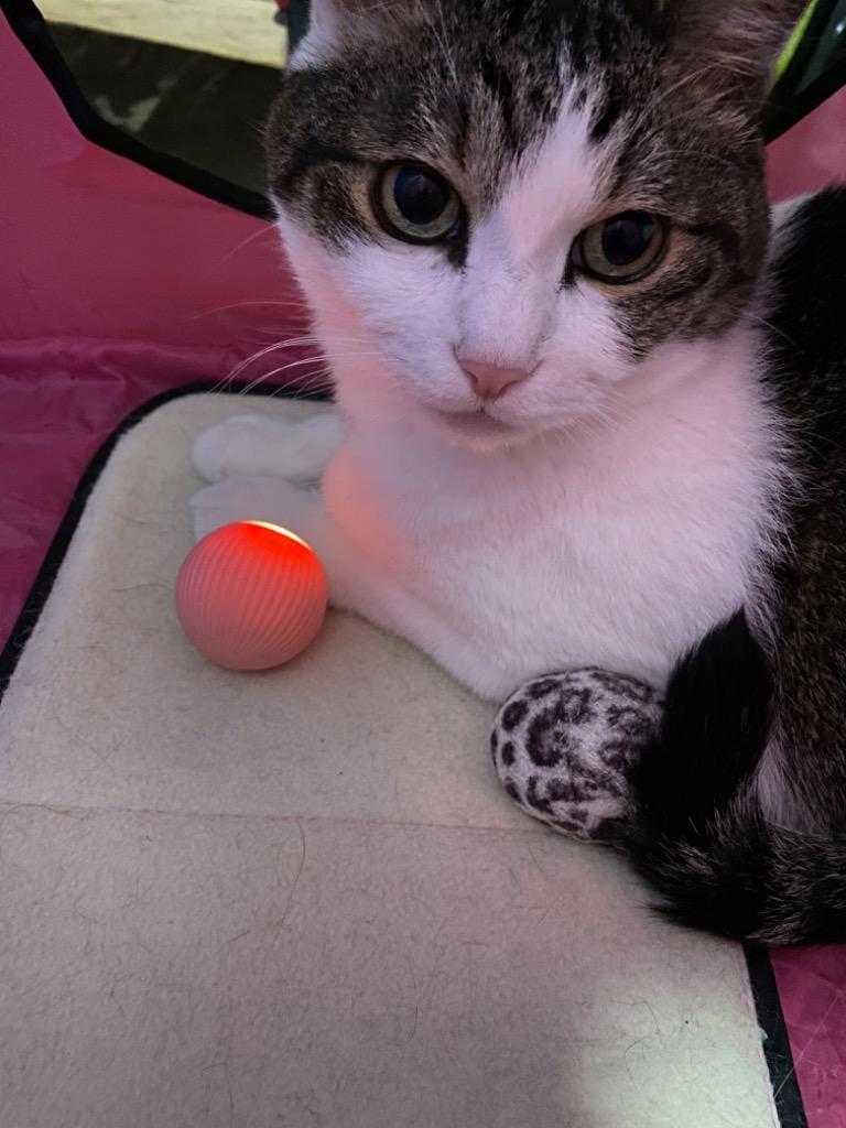 猫おもちゃ 電動 自動走行ボール 光るボール 360度自動回転 LEDライト付き 発光回転ボール USB充電式 お留守番 ストレス解消 運動不足解消  :smicw010:Smi Store 通販 