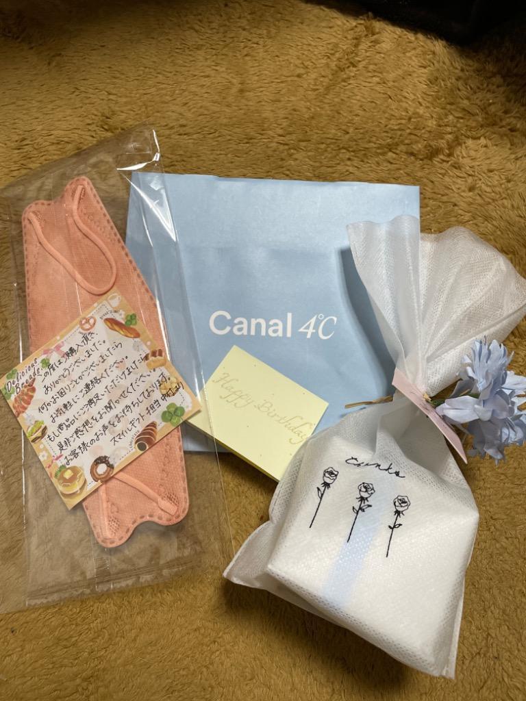 Canal 4°C Pt850 フラワーモチーフネックレス リボン済＆紙袋 4°c ネックレス ヨンドシー 正規品 レディース