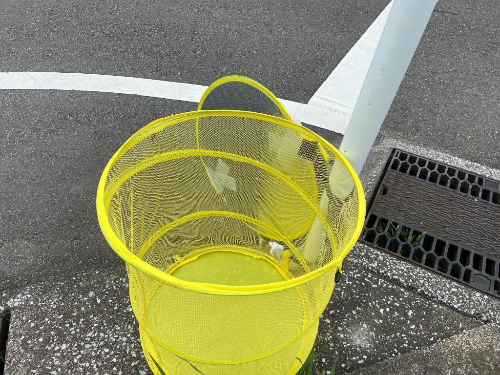 全体のレビュー画像 | 1-0