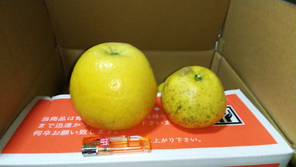 全体のレビュー画像 | 5-0