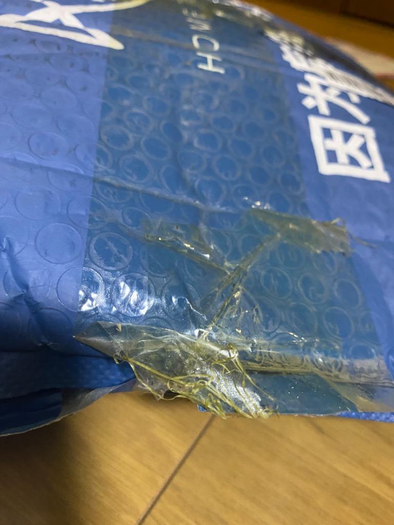 レビュー画像