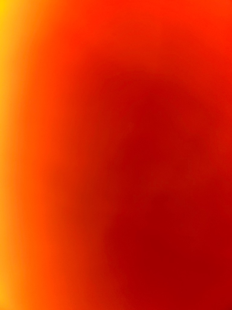 全体のレビュー画像 | 0-0