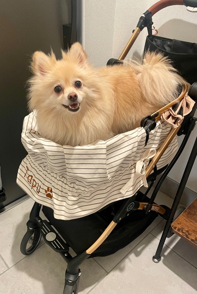 10件目のレビュー画像 | 0