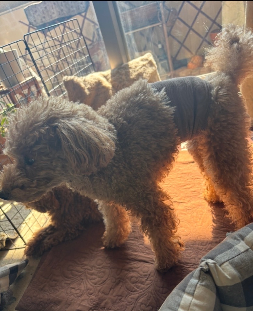 全体のレビュー画像 | 0-0