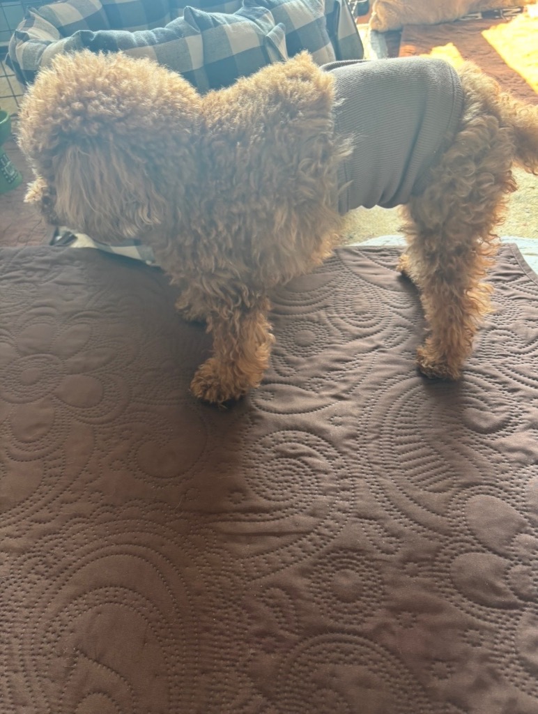 全体のレビュー画像 | 0-1