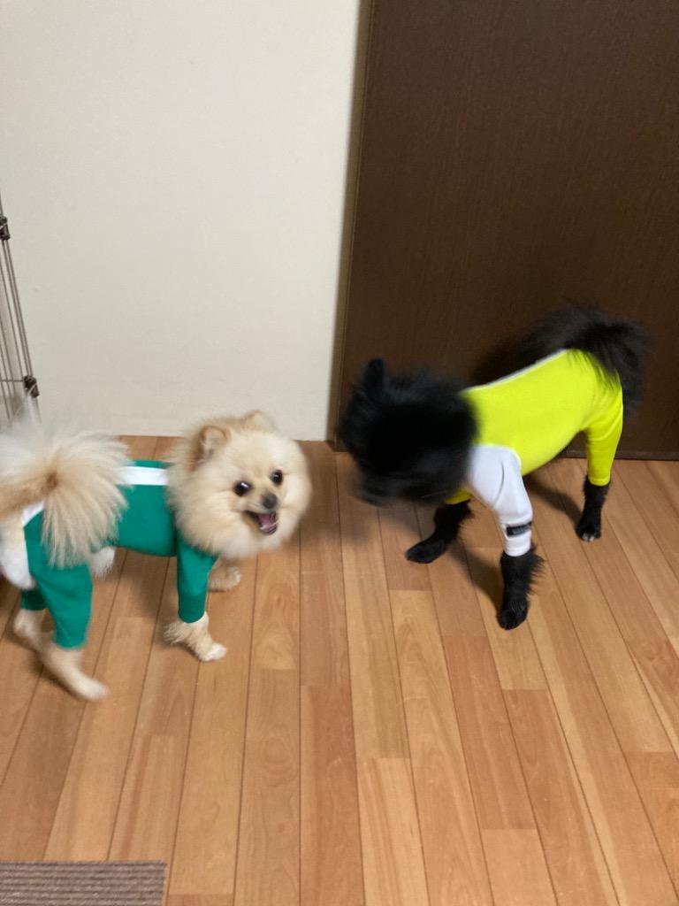 4件目のレビュー画像 | 1