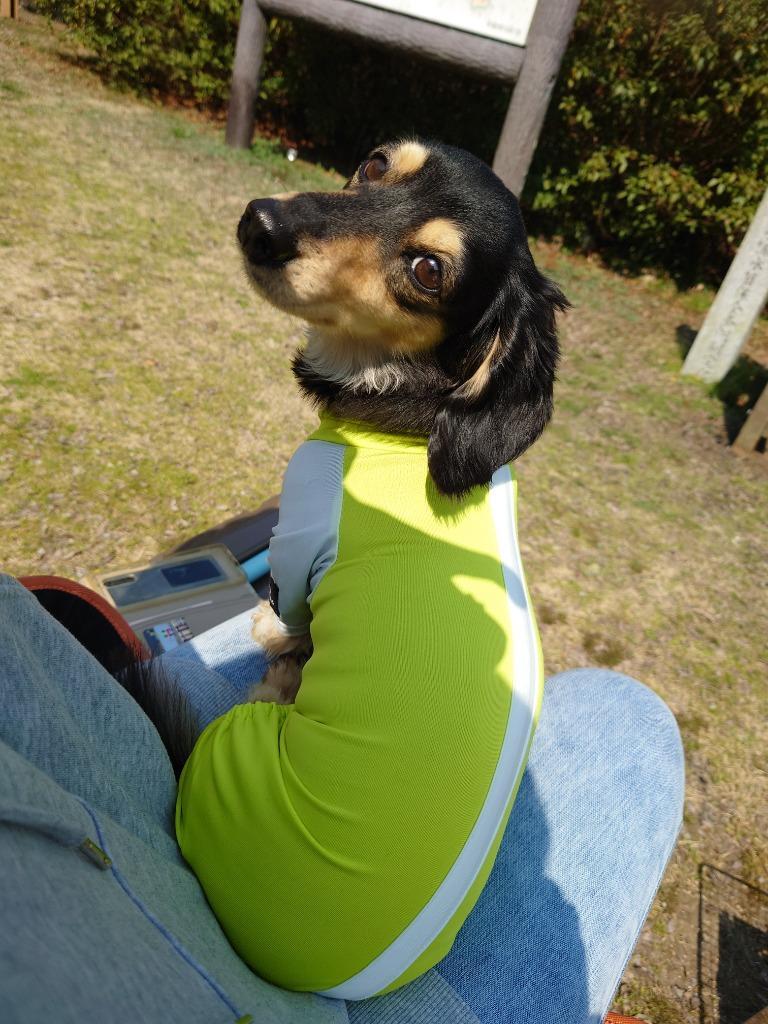 全体のレビュー画像 | 2-0