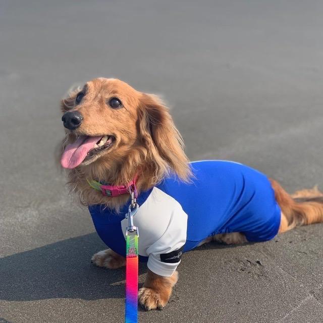 全体のレビュー画像 | 4-0