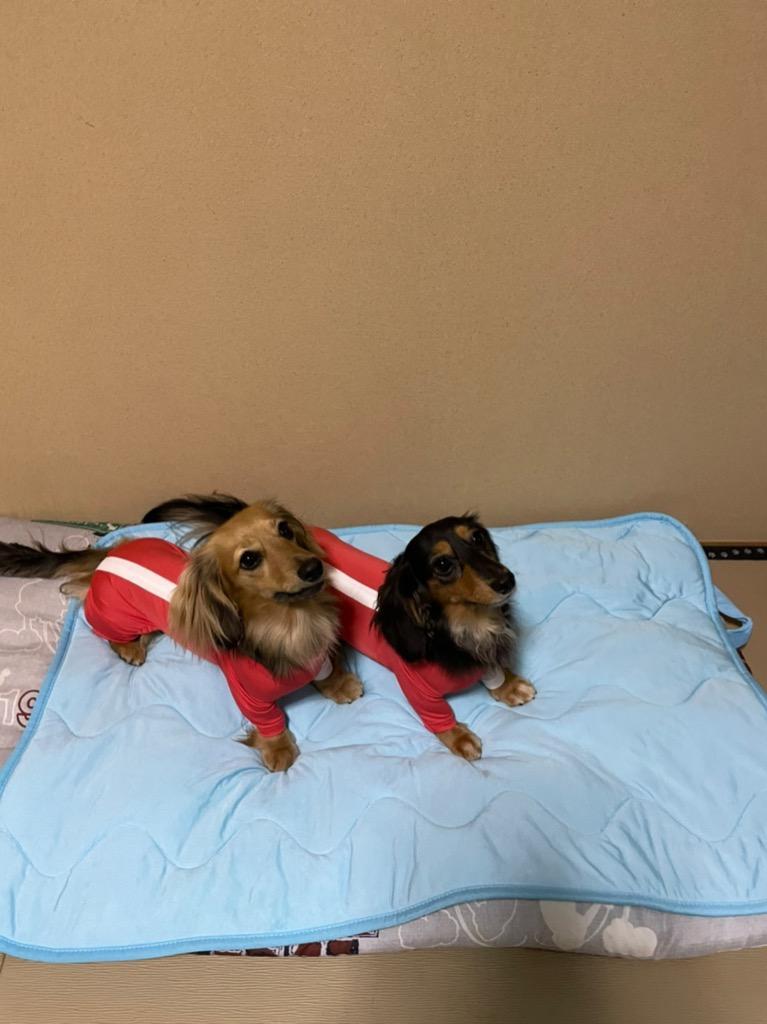 全体のレビュー画像 | 3-0