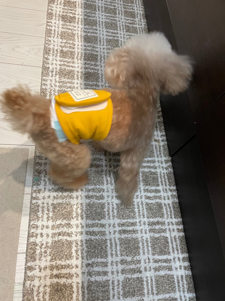 全体のレビュー画像 | 6-0