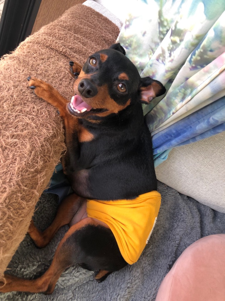 全体のレビュー画像 | 7-0