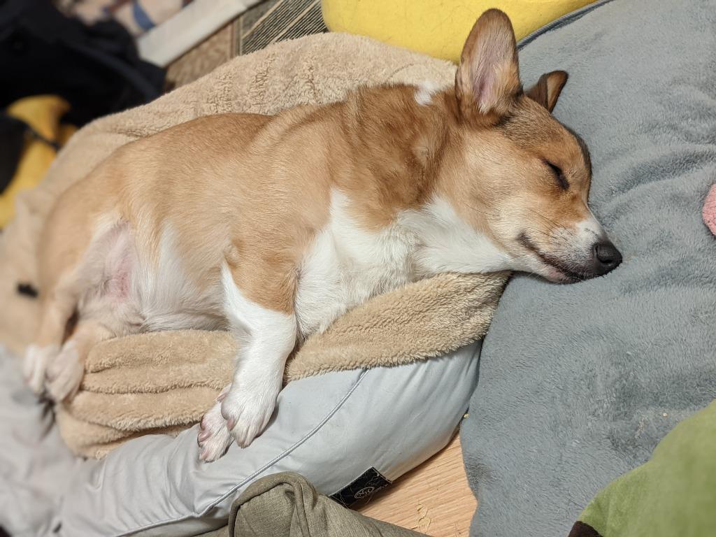 4件目のレビュー画像 | 0