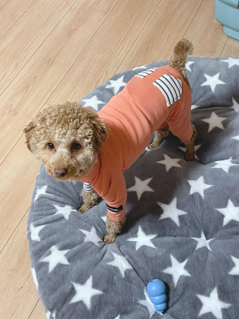 全体のレビュー画像 | 2-2