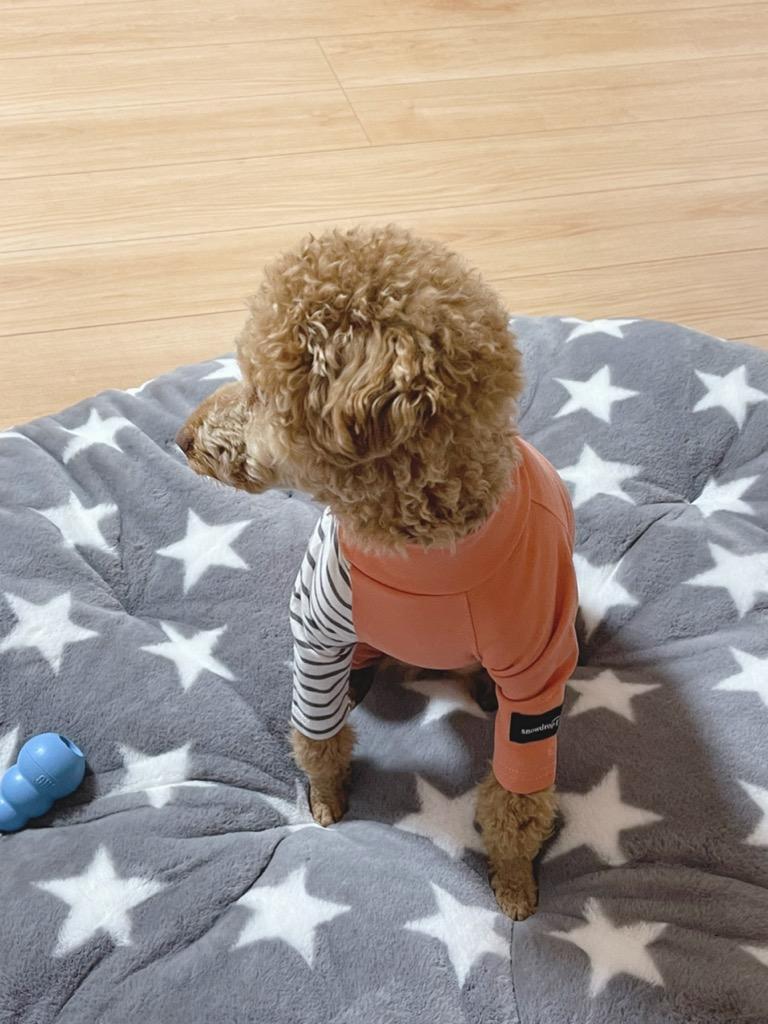 全体のレビュー画像 | 2-1