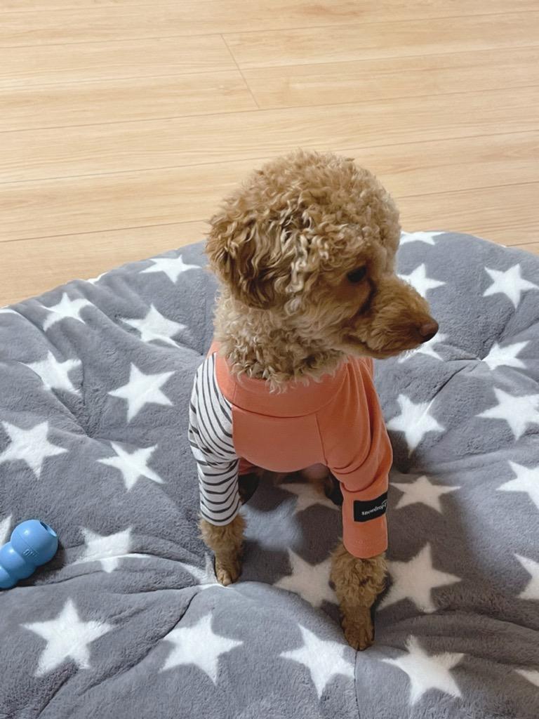 全体のレビュー画像 | 2-0