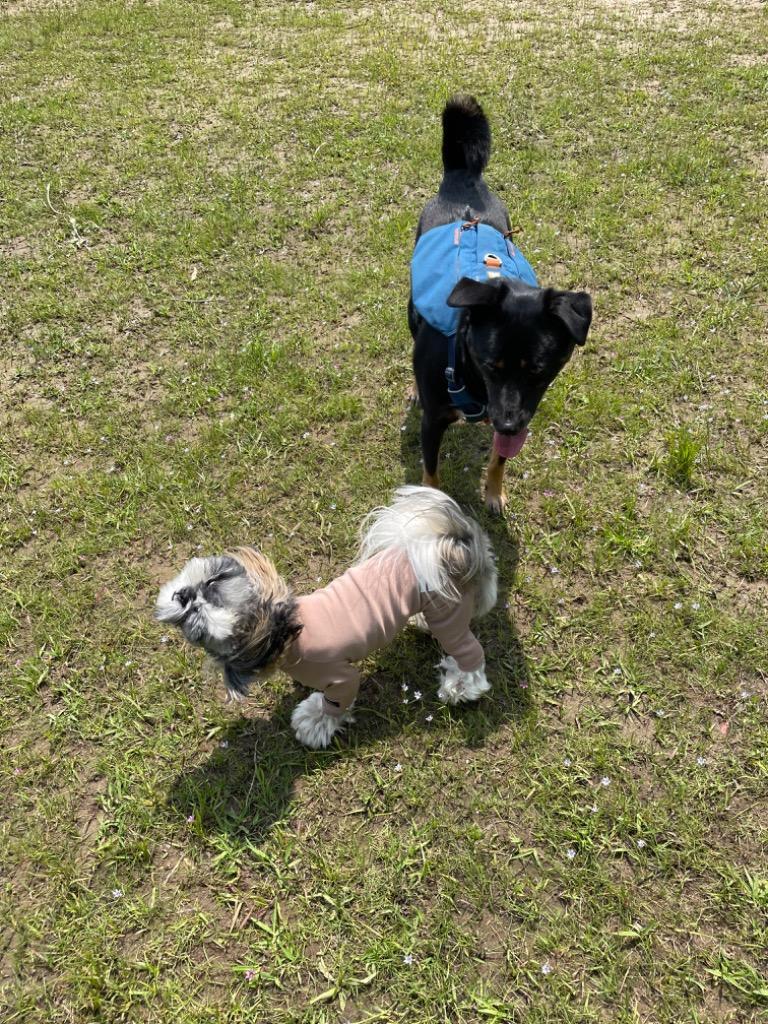 全体のレビュー画像 | 0-0