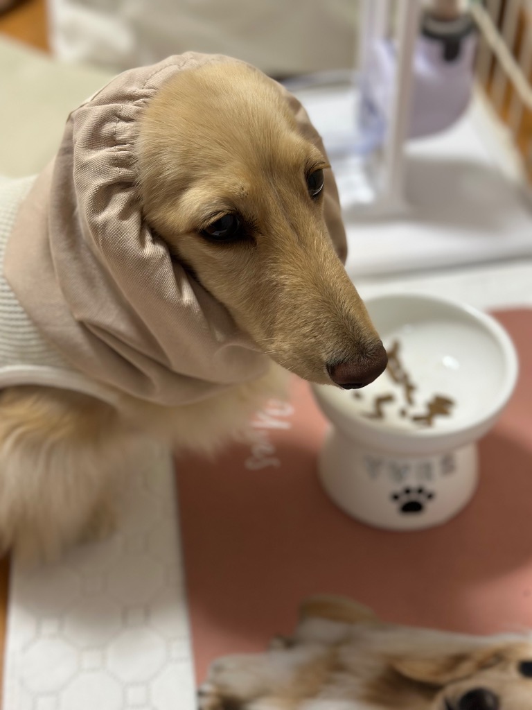 全体のレビュー画像 | 0-0