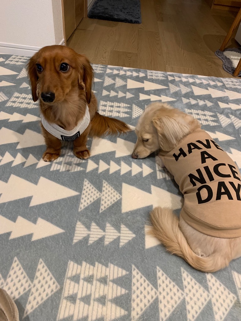 1件目のレビュー画像 | 0