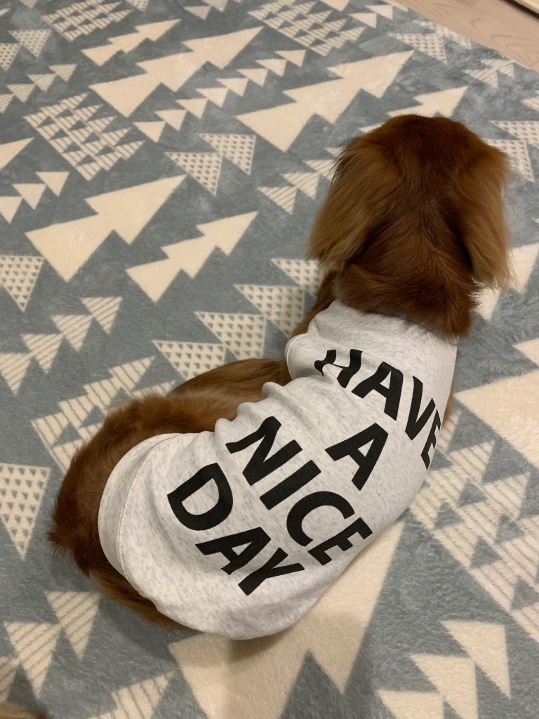 1件目のレビュー画像 | 2