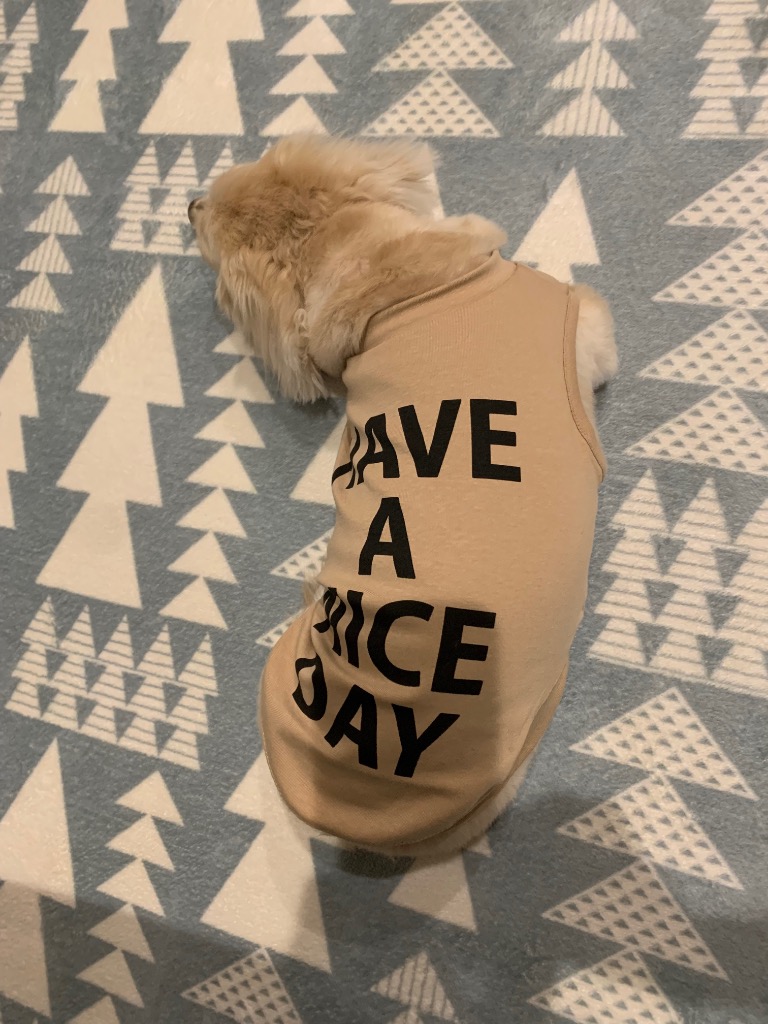 1件目のレビュー画像 | 1