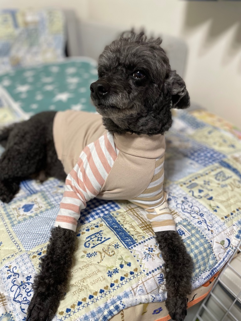 1件目のレビュー画像 | 0