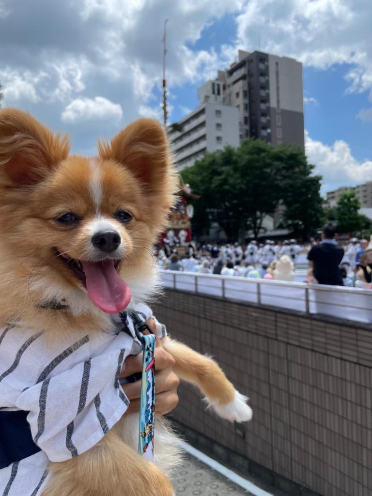 3件目のレビュー画像 | 0