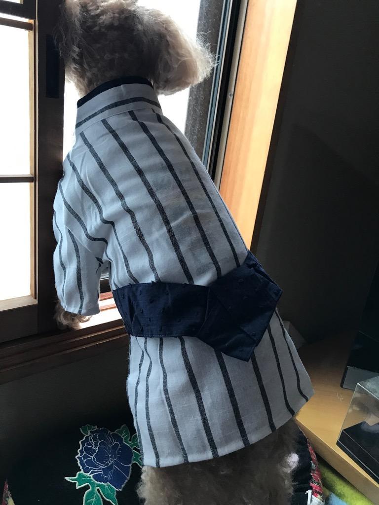 2件目のレビュー画像 | 1