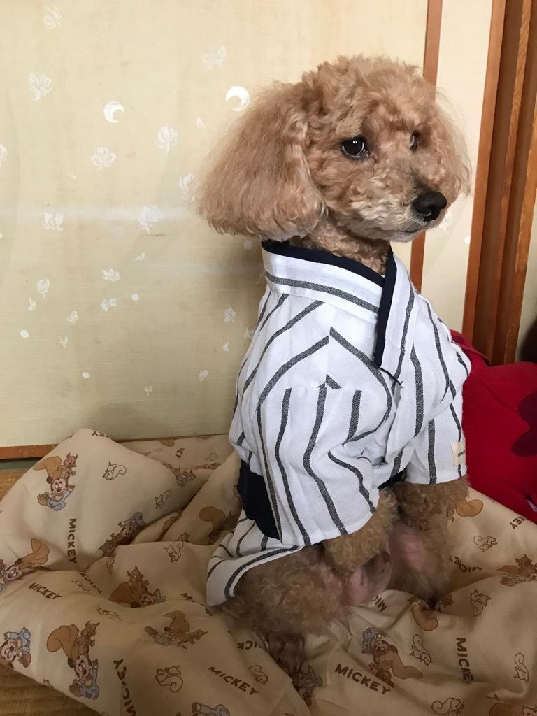 2件目のレビュー画像 | 2
