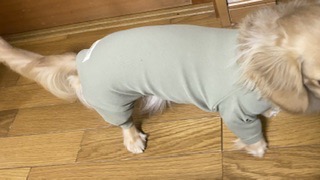 全体のレビュー画像 | 1-0