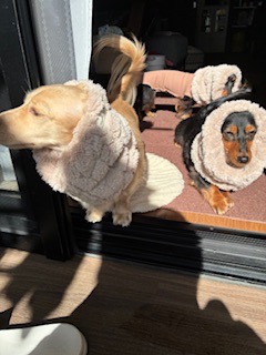 全体のレビュー画像 | 0-0