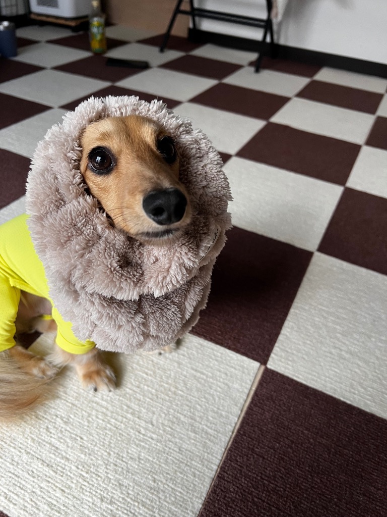 全体のレビュー画像 | 2-0