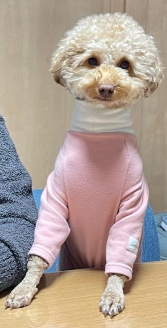 1件目のレビュー画像 | 0