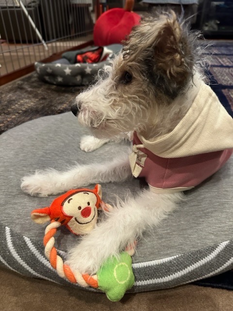 1件目のレビュー画像 | 1