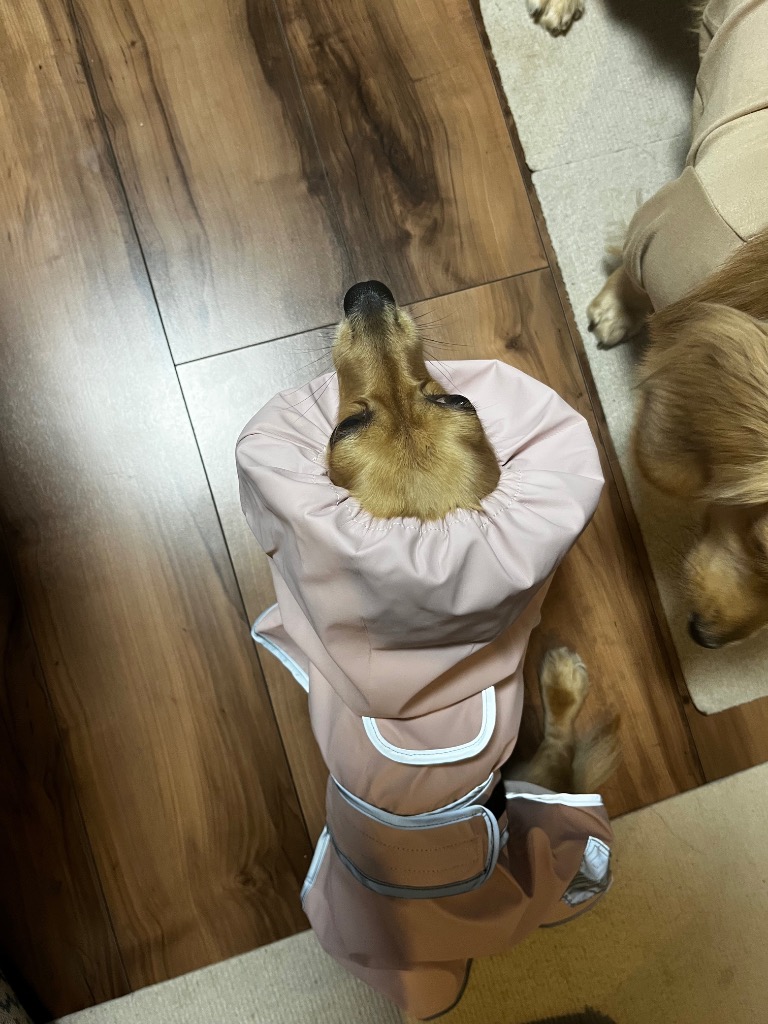 レビュー画像