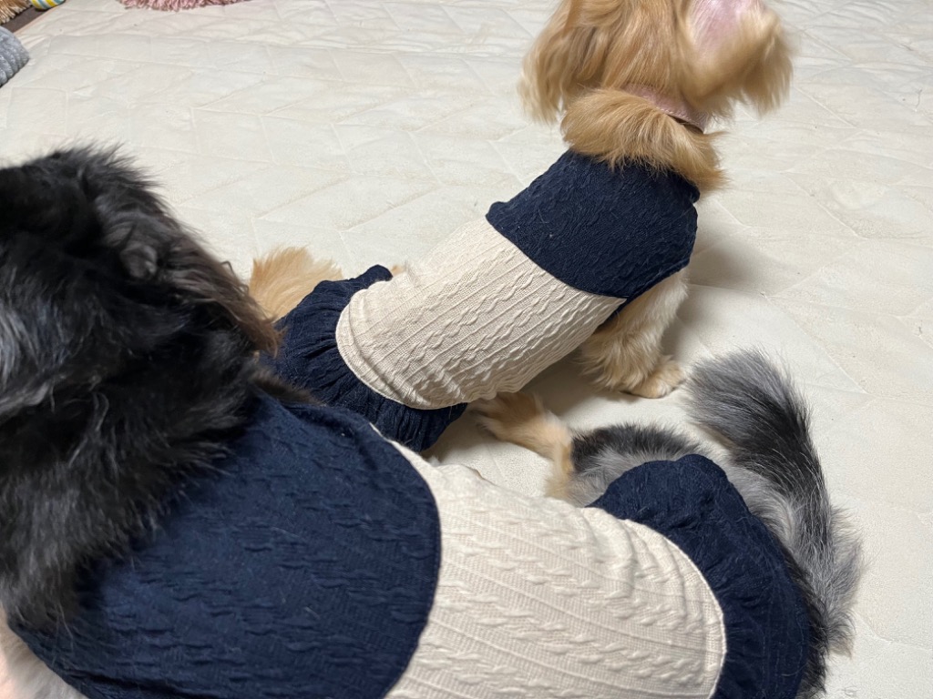 2件目のレビュー画像 | 2