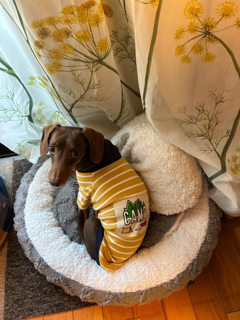 3件目のレビュー画像 | 0