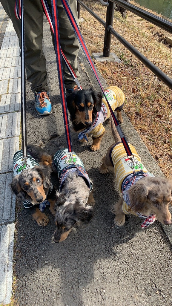 1件目のレビュー画像 | 0