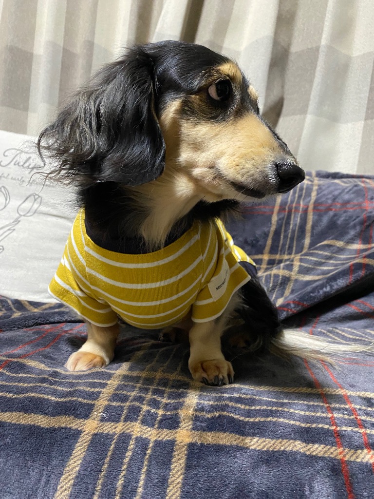 2件目のレビュー画像 | 0