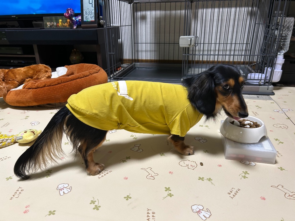 レビュー画像