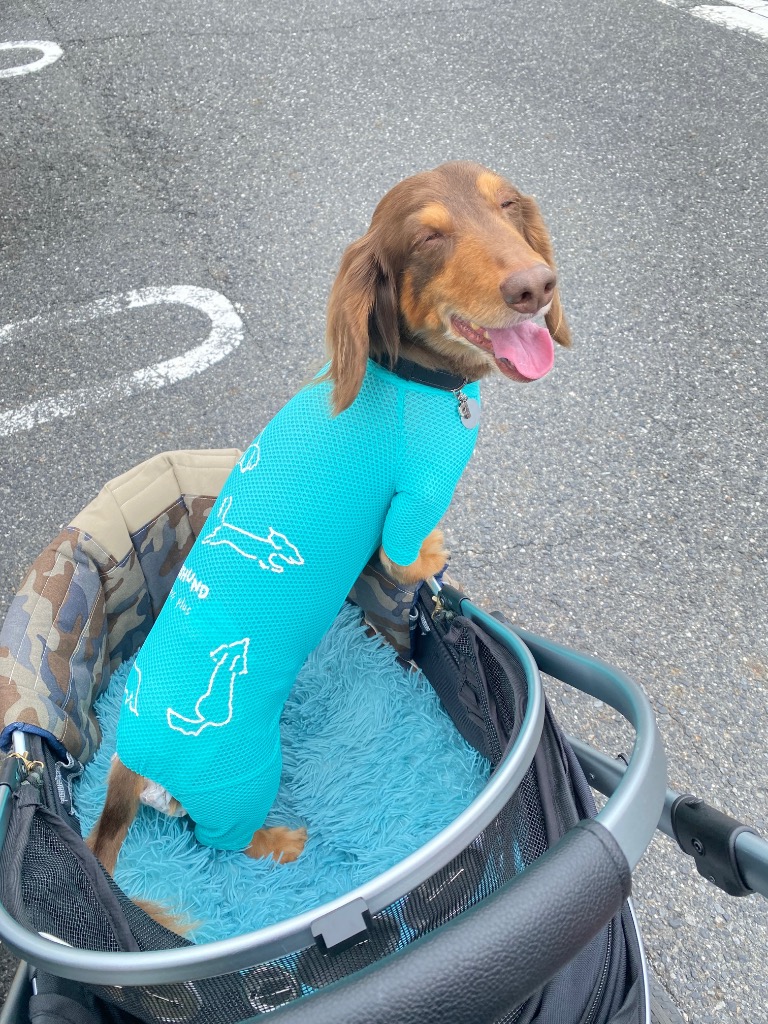 2件目のレビュー画像 | 1