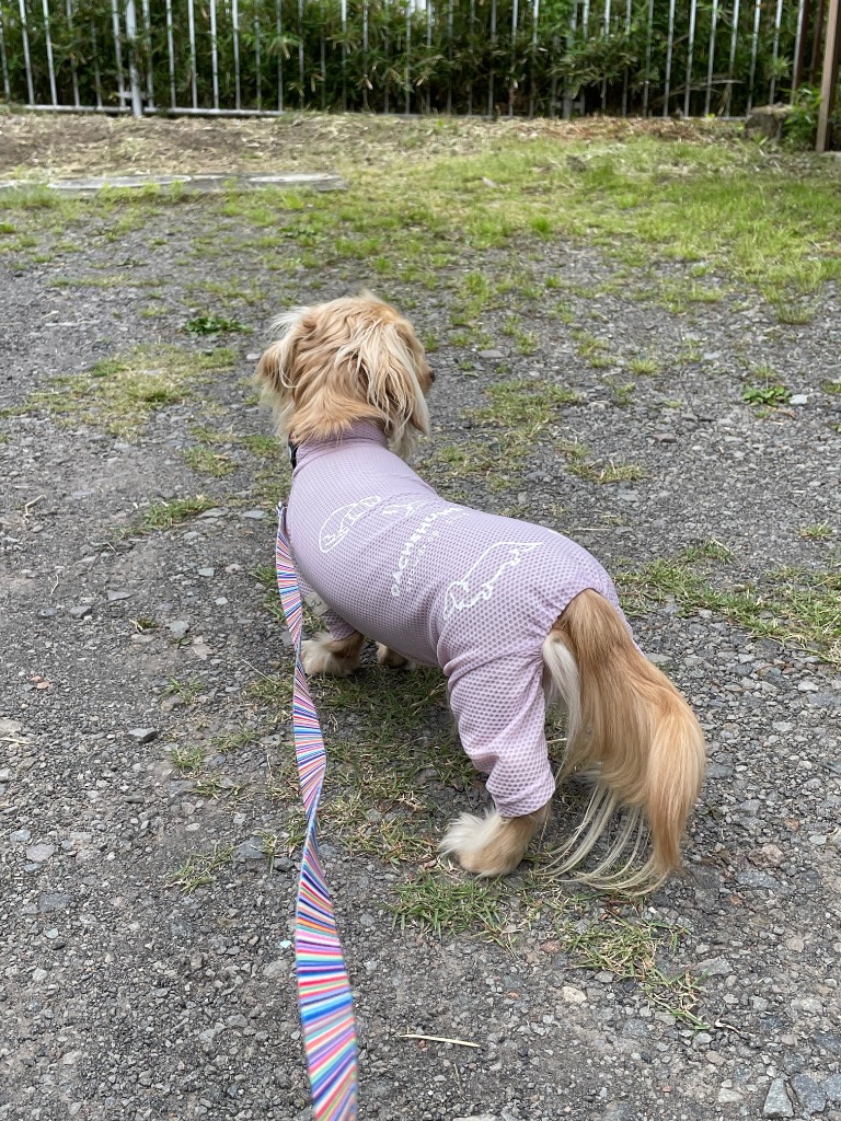 7件目のレビュー画像 | 0